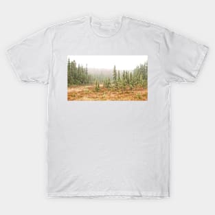 Fog in Algonquin Park, Canada T-Shirt